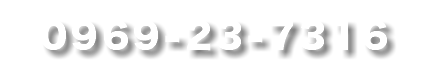 0969-23-7316　